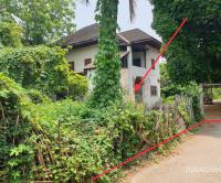 https://wap.ohoproperty.com/171317/ธนาคารกสิกรไทย/ขายบ้านเดี่ยว/ในเมือง/เมืองลำพูน/ลำพูน/