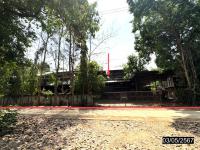https://wap.ohoproperty.com/182863/ธนาคารกสิกรไทย/ขายบ้านเดี่ยว/ตาดทอง/เมืองยโสธร/ยโสธร/