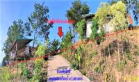 บ้านเดี่ยวหลุดจำนอง ธ.ธนาคารกสิกรไทย ชมเจริญ ปากชม เลย