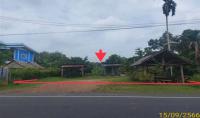 https://wap.ohoproperty.com/204985/ธนาคารกสิกรไทย/ขายบ้านเดี่ยว/หลักช้าง/ช้างกลาง/นครศรีธรรมราช/