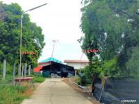 https://wap.ohoproperty.com/211177/ธนาคารกสิกรไทย/ขายบ้านเดี่ยว/ศาลาแดง/เมืองอ่างทอง/อ่างทอง/