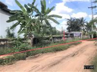 https://wap.ohoproperty.com/155629/ธนาคารกสิกรไทย/ขายอาคารโรงงาน/หนองขาม/แก้งคร้อ/ชัยภูมิ/