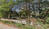 https://wap.ohoproperty.com/213066/ธนาคารกสิกรไทย/ขายโกดัง/พันดอน/กุมภวาปี/อุดรธานี/