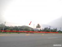 https://wap.ohoproperty.com/159758/ธนาคารกสิกรไทย/ขายโกดัง/หนองผือ/ท่าลี่/เลย/
