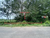 https://wap.ohoproperty.com/205029/ธนาคารกสิกรไทย/ขายสวนเกษตร/พะตง/หาดใหญ่/สงขลา/