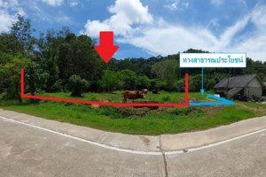 ถ.พานไทร ศาลาด่าน เกาะลันตา กระบี่