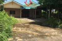 https://wap.ohoproperty.com/219816/ธนาคารไทยพาณิชย์/ขายบ้านเดี่ยว/ตาดทอง/เมืองยโสธร/ยโสธร/