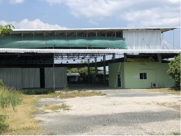 https://wap.ohoproperty.com/185516/ธนาคารกรุงเทพ/ขายโรงงาน/หนองแฝก/สารภี/เชียงใหม่/