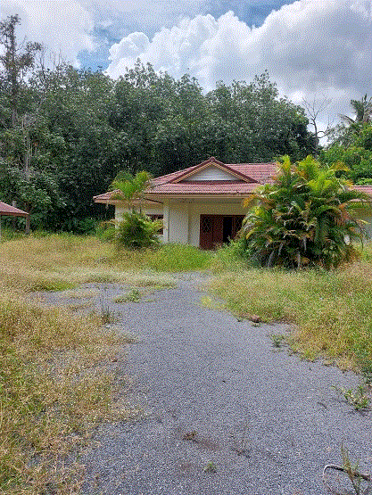 https://wap.ohoproperty.com/209537/ธนาคารกรุงเทพ/ขายบ้าน////