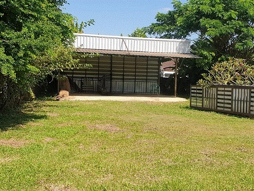 https://wap.ohoproperty.com/214700/ธนาคารกรุงเทพ/ขายที่ดินพร้อมสิ่งปลูกสร้าง (อื่น ๆ)/ริมกก/เมืองเชียงราย/เชียงราย/