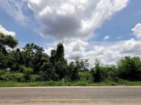 ที่ดินเปล่าหลุดจำนอง ธ.ธนาคารทหารไทยธนชาต บ้านกอก จัตุรัส ชัยภูมิ