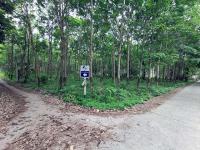 https://wap.ohoproperty.com/186513/ธนาคารทหารไทยธนชาต/ขายที่ดินเปล่า/เกาะลันตาใหญ่/เกาะลันตา/กระบี่/